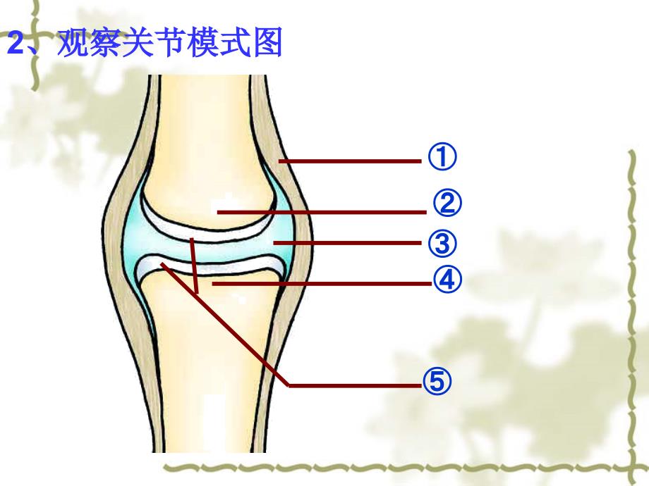 传染病及其预防 第二课时课件_第1页