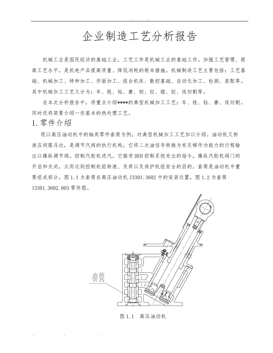 企业制造工艺分析报告文案_第1页