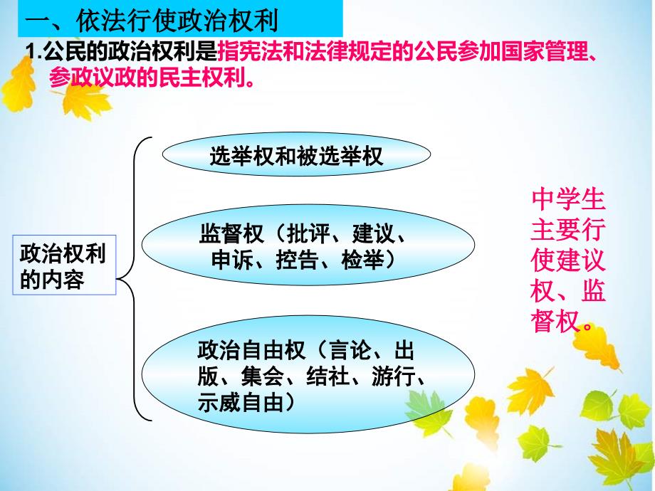 依法参与政治生活可用版课件_第3页