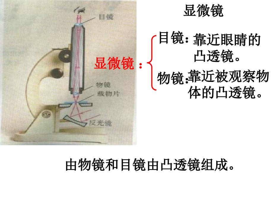 八年级物理显微镜和望远镜课件_第2页