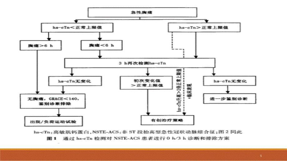 （优质医学）非ST段抬高型冠脉综合征诊断和治疗解读_第5页