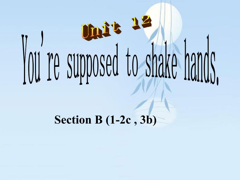 人教版英语九年级Unit12 You are supposed to shake hands Section B (1-2c  3b)课件_第1页