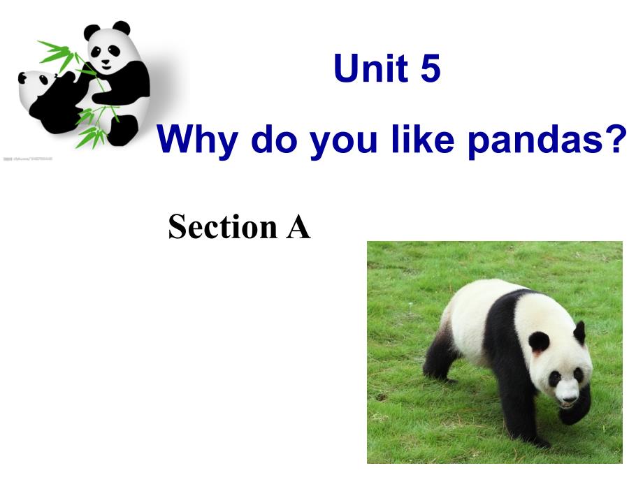 人教版新目标英语新教材七年级下册unit5 why do you like pandas 课件_第1页