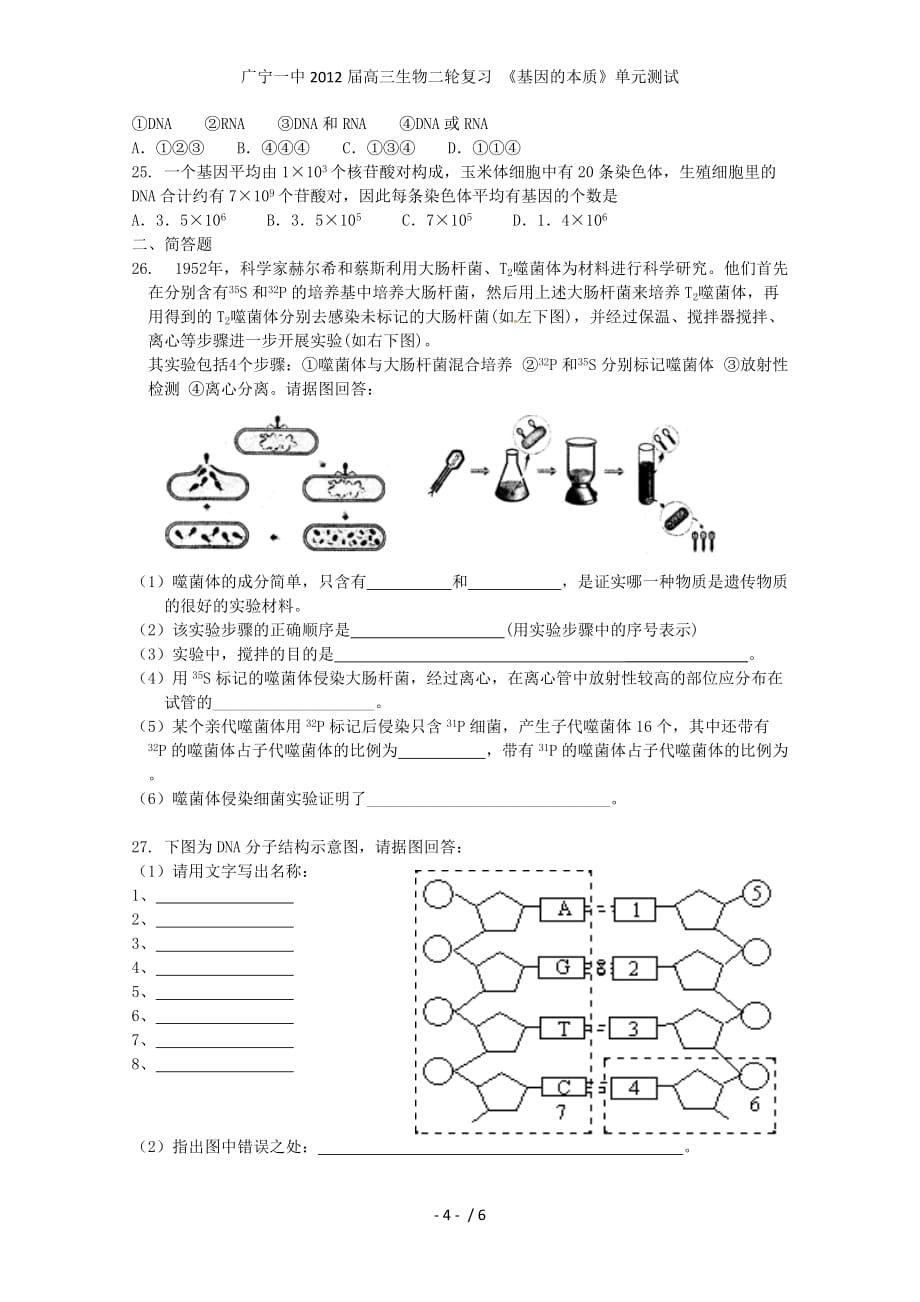 广宁一中高三生物二轮复习 《基因的本质》单元测试_第4页