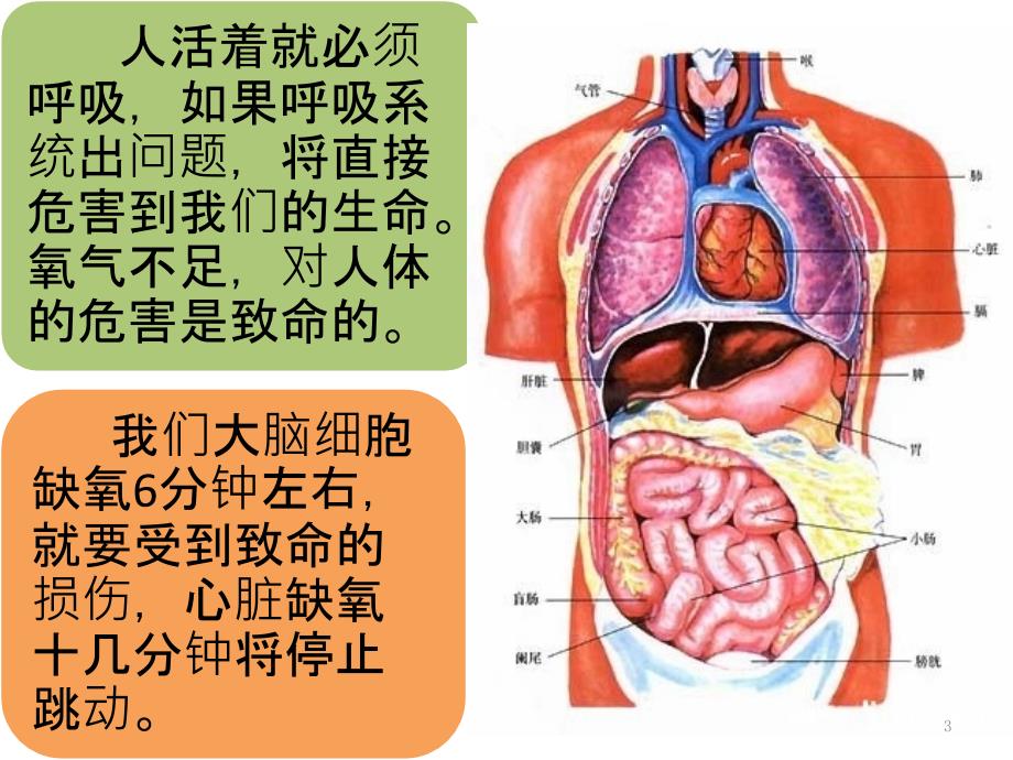 （优质医学）尘肺病的危害与预防_第3页