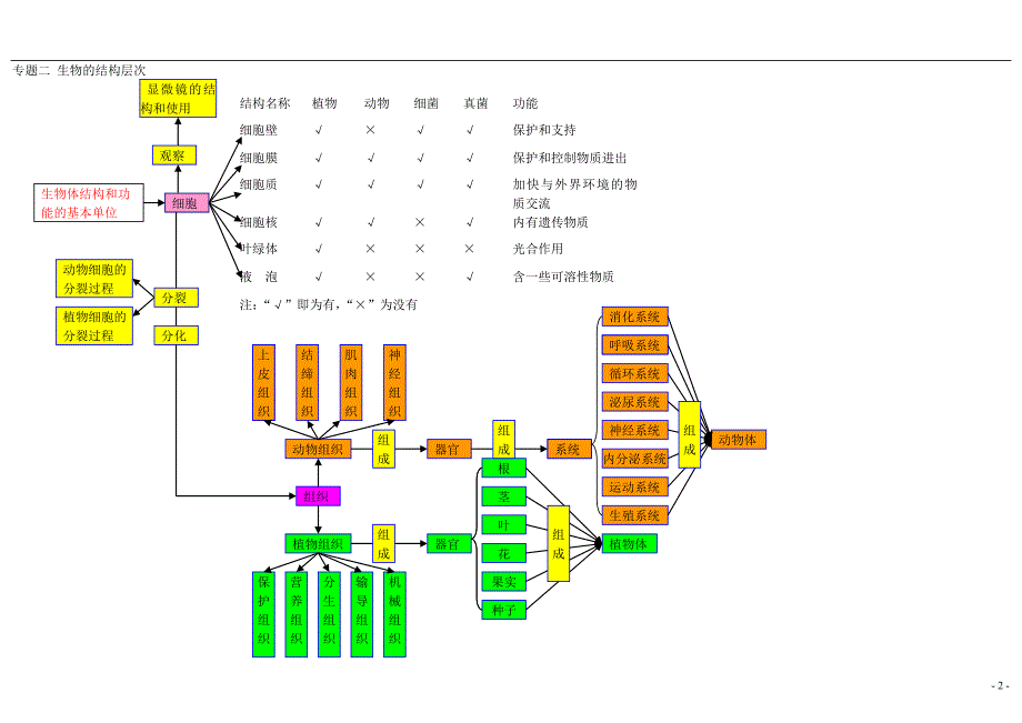 初中生物知识点结构网络图--_第2页
