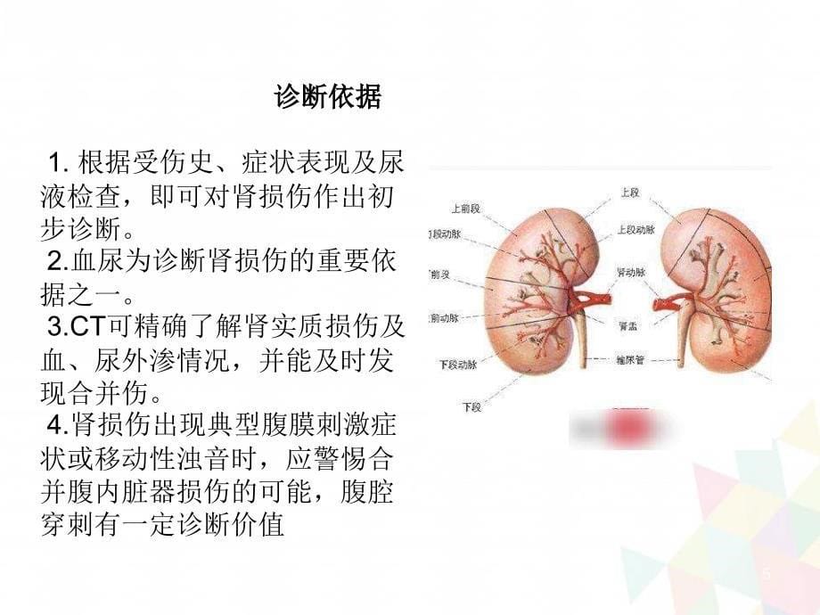 （优质医学）肾挫伤疑难病例讨论_第5页