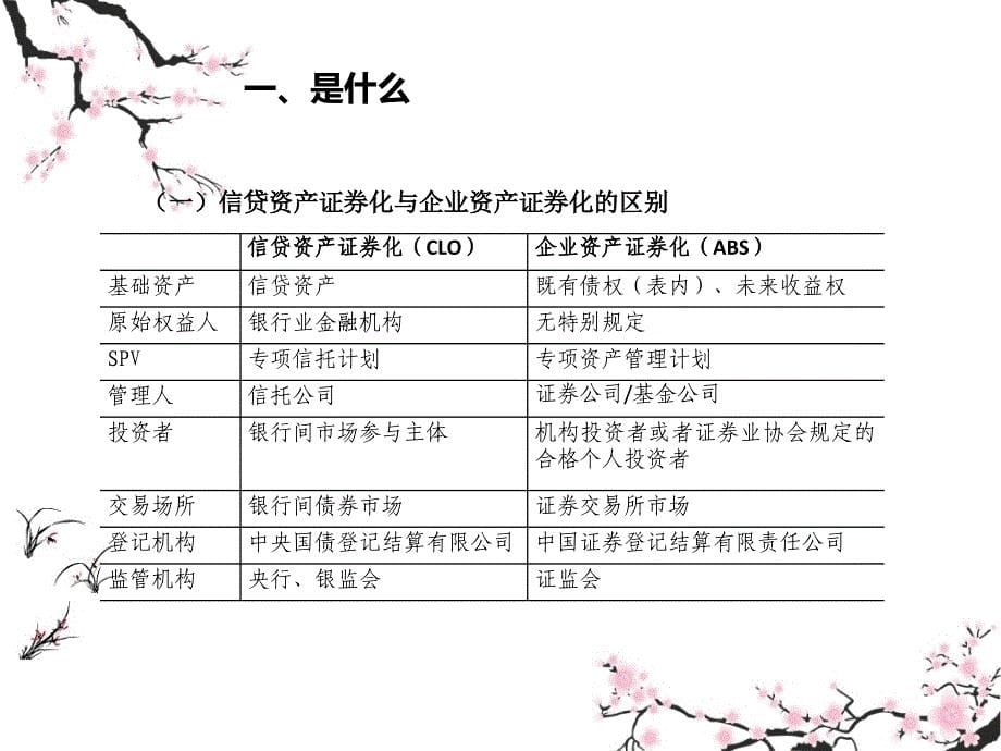 信贷资产证券化业务介绍课件_第5页