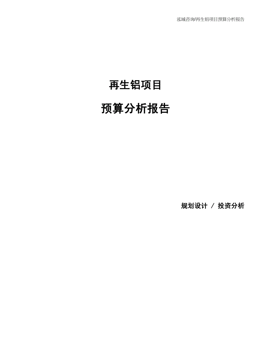 再生铝项目预算分析报告_第1页