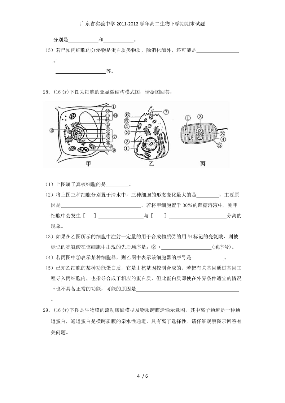 高二生物下学期期末试题_第4页