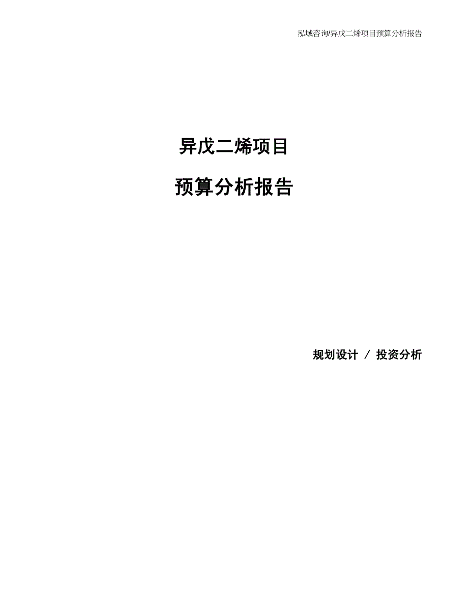 异戊二烯项目预算分析报告_第1页