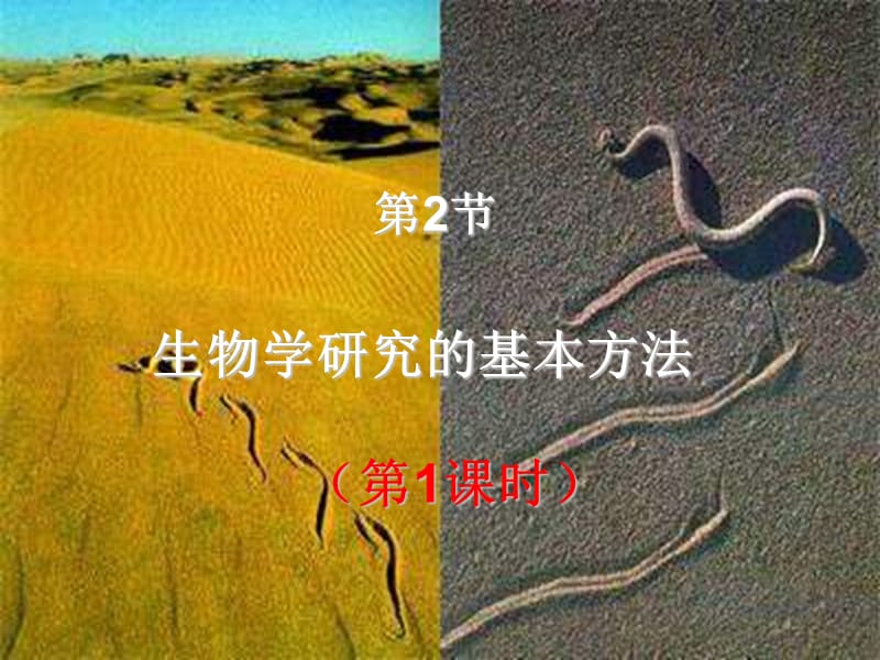 七年级生物上册《22-生物学研究的基本方法》精-(新版)北师大版ppt课件_第1页