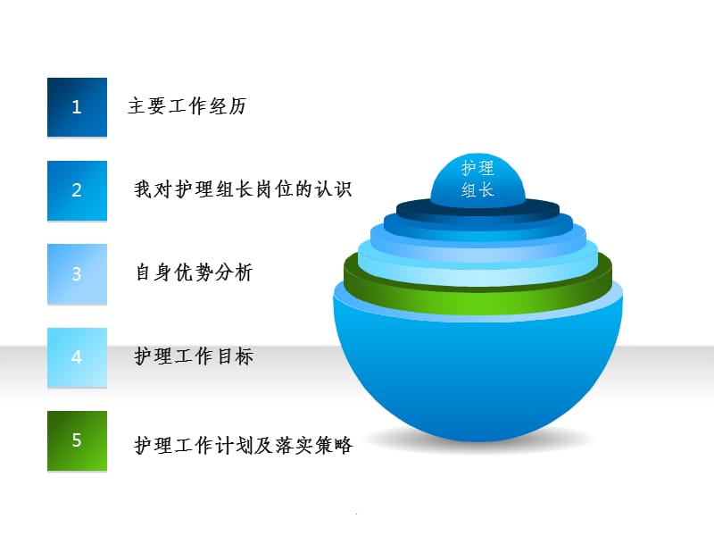 护理组长竞聘讲稿1ppt课件_第2页