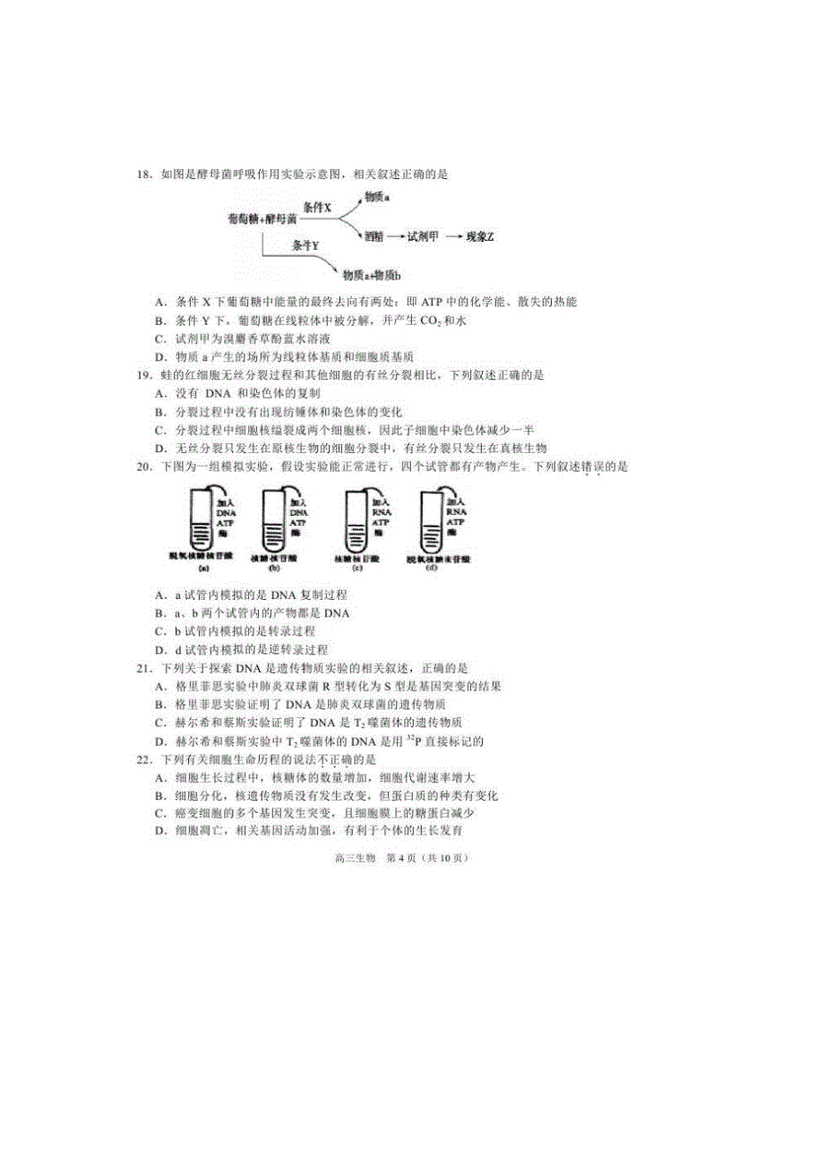 吉林省舒兰市高三生物第四次月考试题（扫描版）_第4页