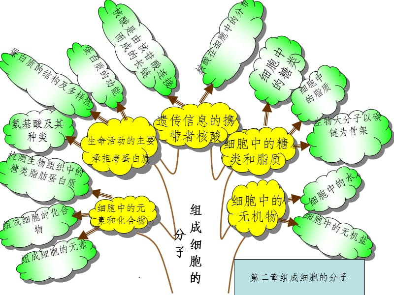 高中生物必修一知识树.1ppt课件_第3页