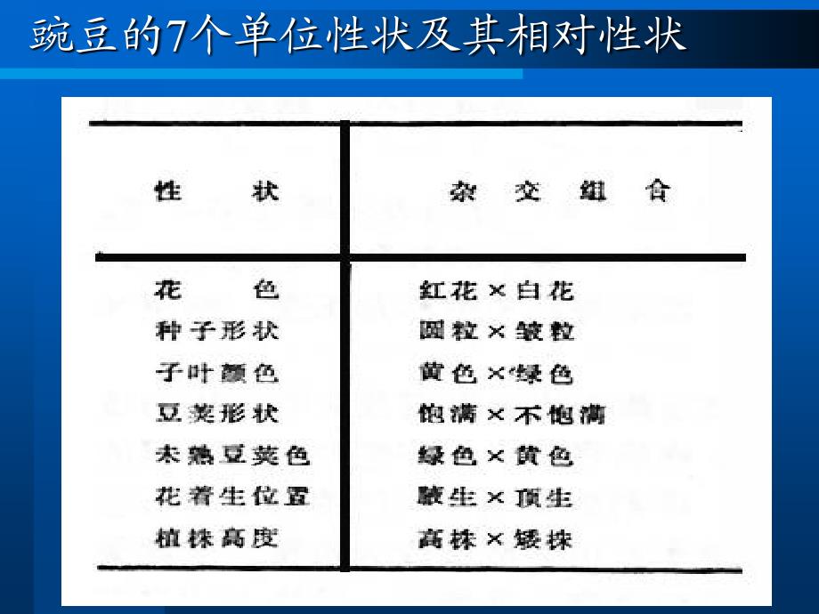 6607编号医学遗传学 第三章第一节分离规律_第4页