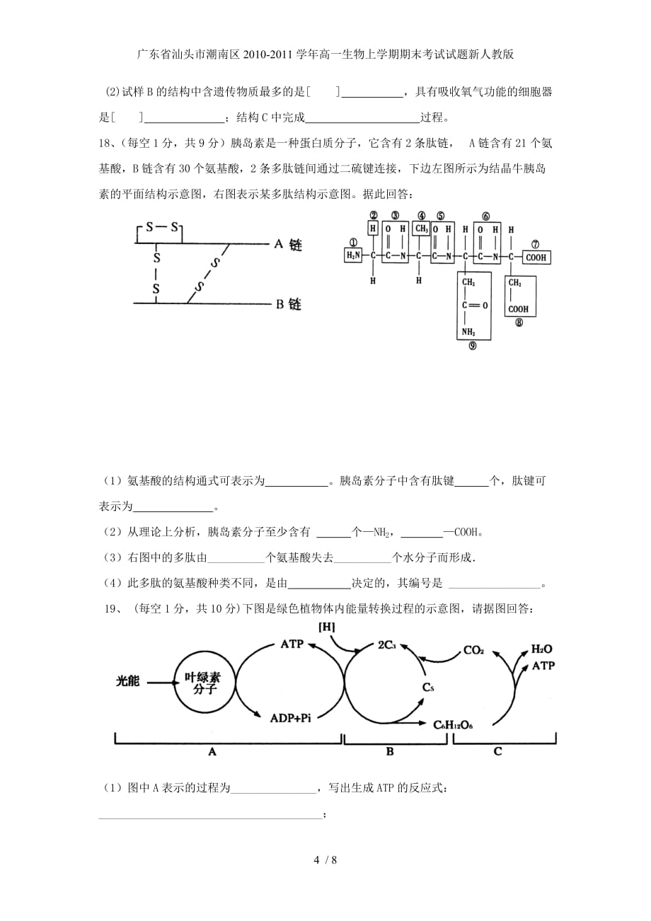 广东省汕头市潮南区高一生物上学期期末考试试题新人教版_第4页