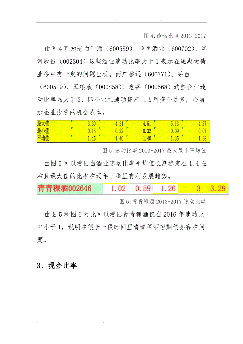 白酒行业偿债能力分析报告_第3页