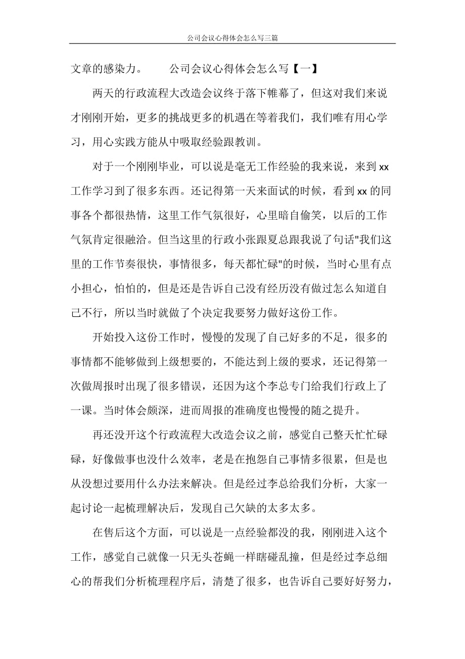 公司会议心得体会怎么写三篇_第3页