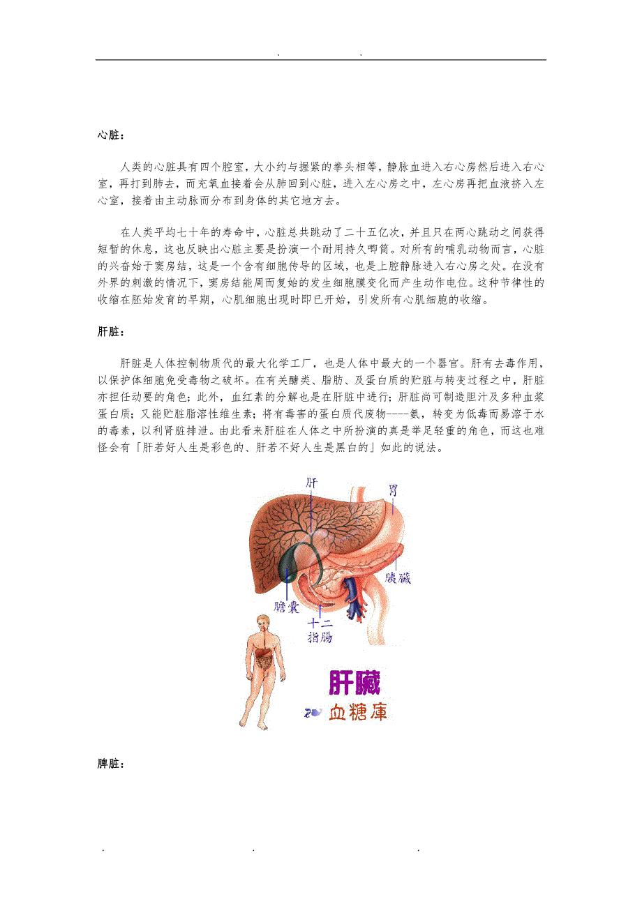 人体的六大生理系统方案_第2页