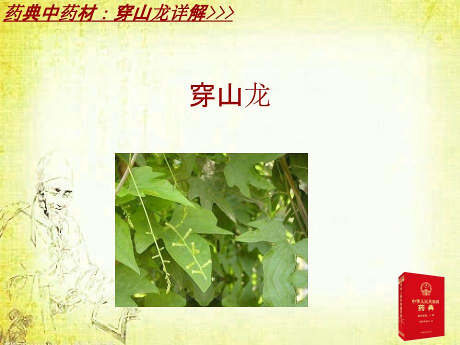 中成药配方详解：穿龙骨刺片_第4页