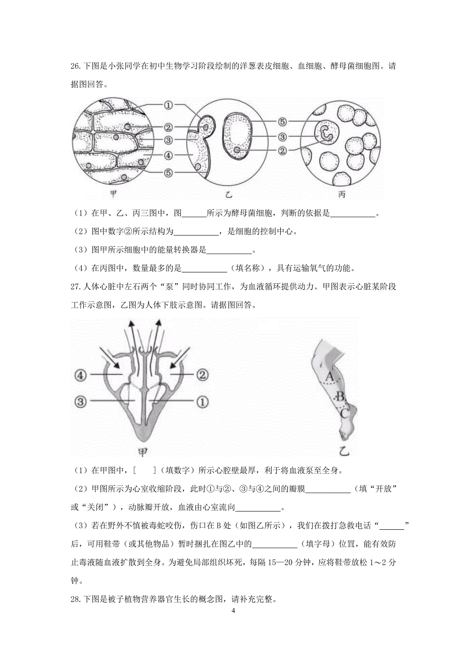 2018年长沙市中考生物试题和答案_第4页