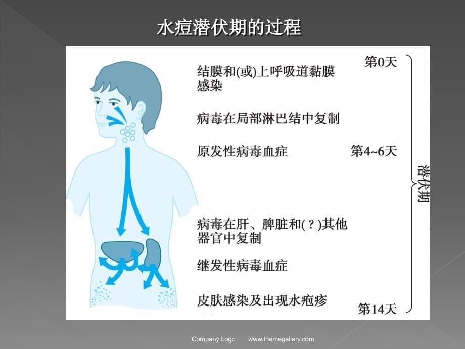 997编号水痘健康教育知识_第5页