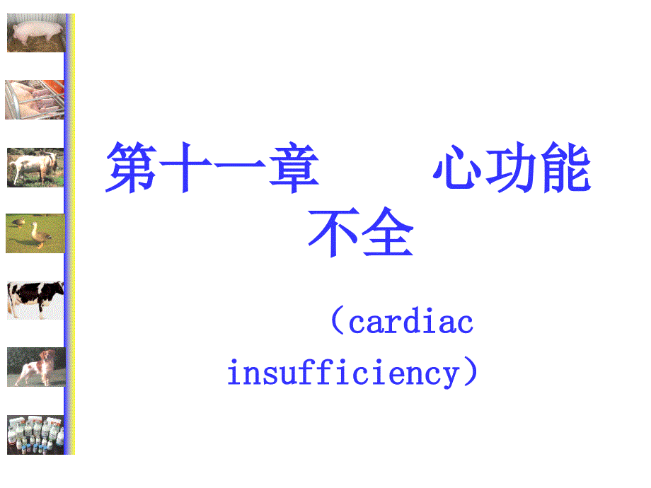 动物病理学11第十一章 心功能不全课件_第1页