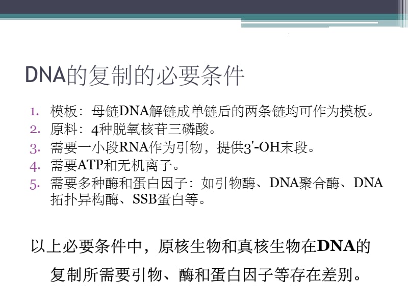 原核生物与真核生物DNA复制的区别_第2页