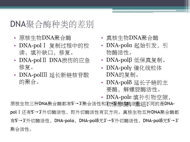 原核生物与真核生物DNA复制的区别_第3页