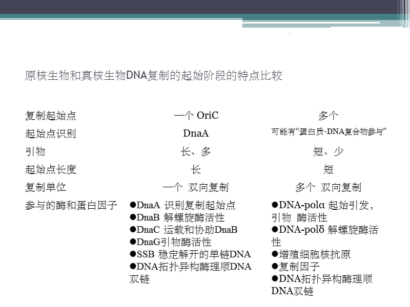 原核生物与真核生物DNA复制的区别_第5页