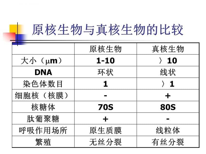 农学植物病理学第四讲课件_第5页