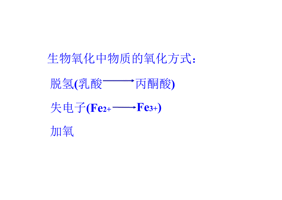 动物生物化学课件9 生物氧化_第4页