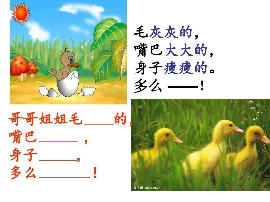 2019小学语文二年级下册《丑小鸭》课件_第5页