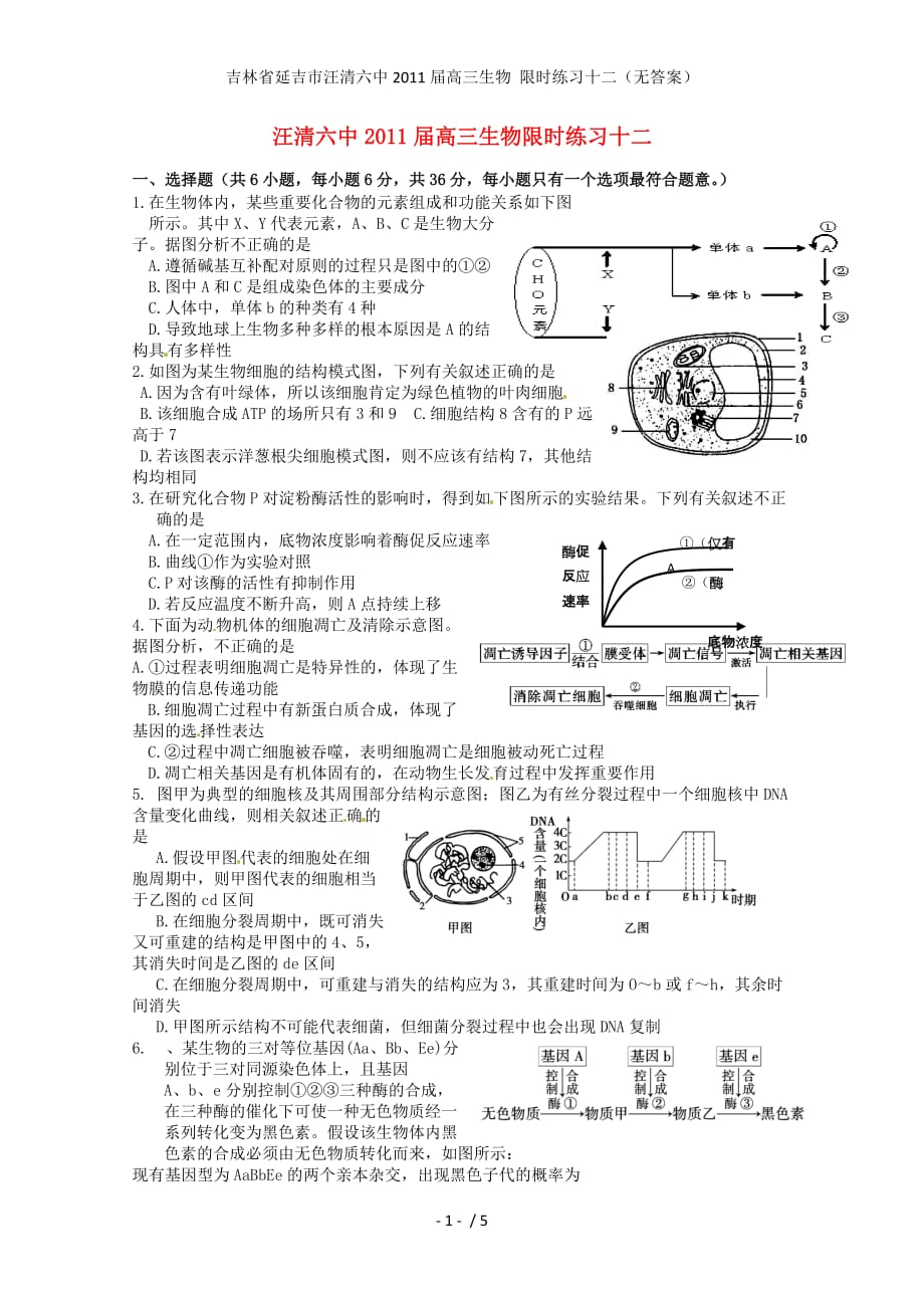 吉林省延吉市汪清六中高三生物 限时练习十二（无答案）_第1页