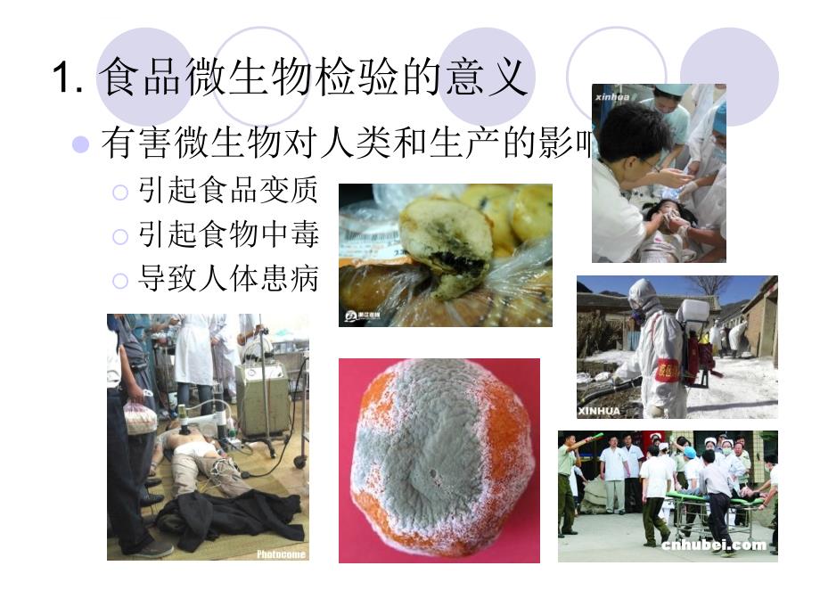 动物性食品中大肠菌群的检验课件_第2页