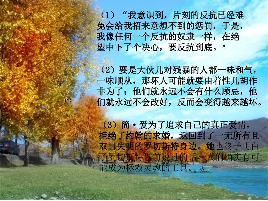 典型环境中的典型人物课件_第4页