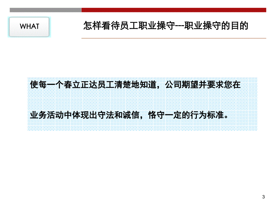公司职业操守守则讲义课件_第3页