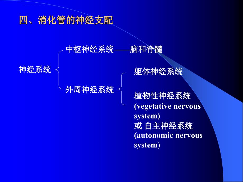 动物生理学第五章 消化和吸收课件_第3页