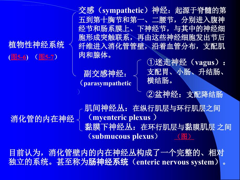 动物生理学第五章 消化和吸收课件_第4页