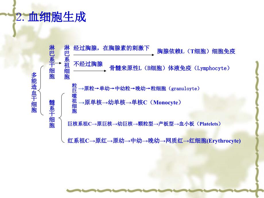 兽医临床病理学(第二节)课件_第4页