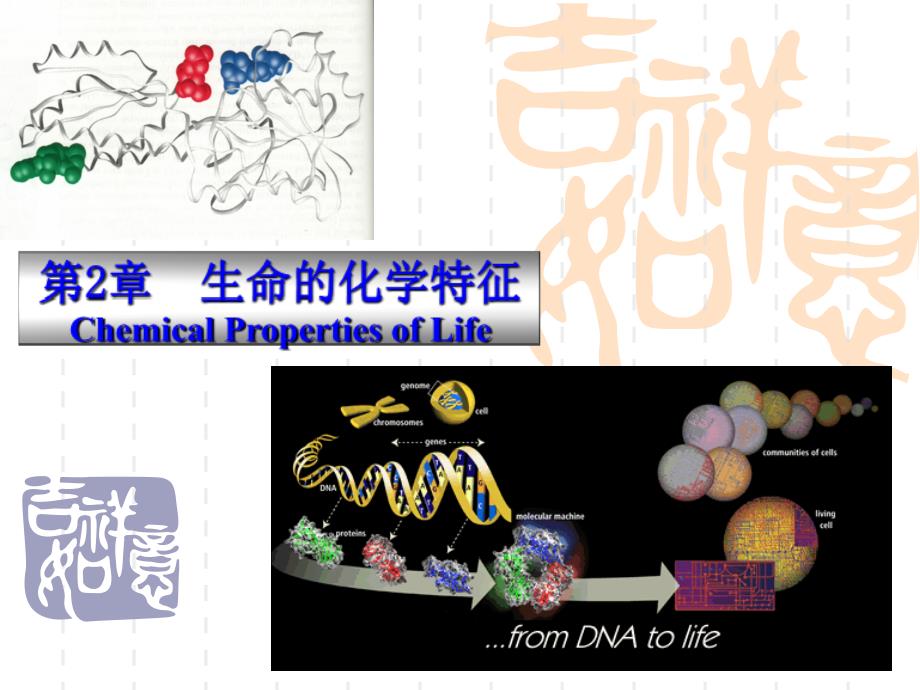 动物生物化学 2 生命的化学特征课件_第1页