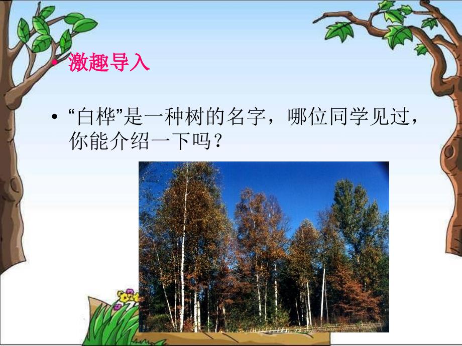 北师大版语文六上《白桦林的低语》课件_第3页