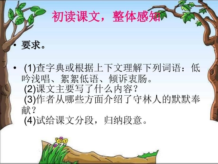 北师大版语文六上《白桦林的低语》课件_第5页