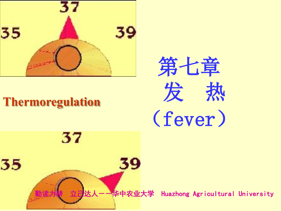 动物病理学07第七章 发热xiugai课件_第1页