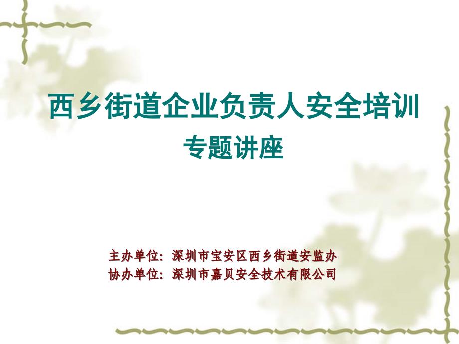 2019宝安区企业负责人安全培训课件_第1页