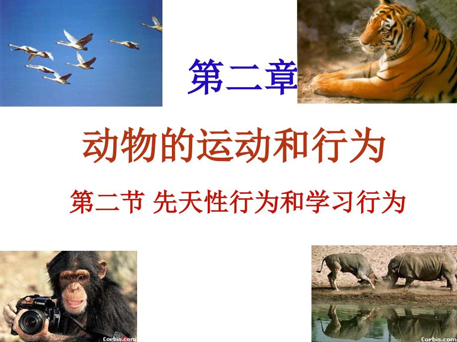 人教版八年级生物上-先天性行为和学习行为-_第1页