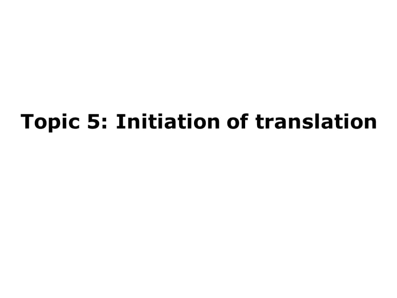 分子生物学（杨洋）第七章 翻译课件_第4页