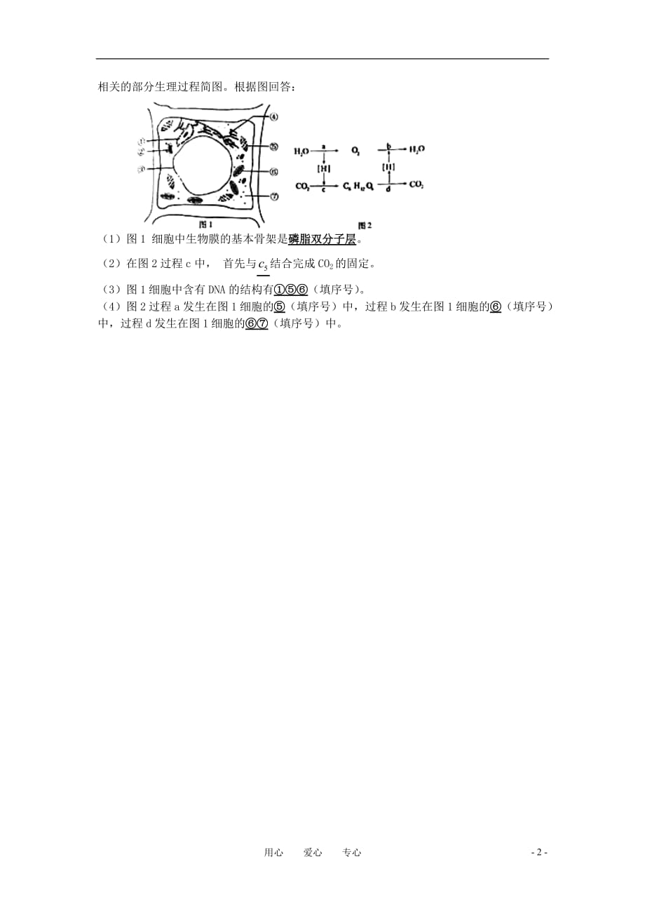 江苏省高考生物 细胞结构学业水平测试卷 苏教版_第2页