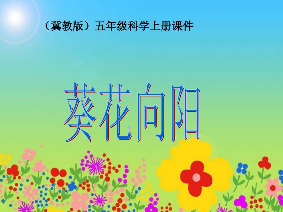 冀教版小学科学五年级上册《葵花向阳》课件-最新精编_第1页